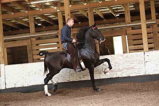 Coventry Woods Stables